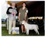 Leroy Adult Personals Ads
